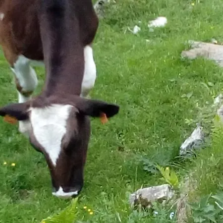 Ferienhaus Casa Della Nina *