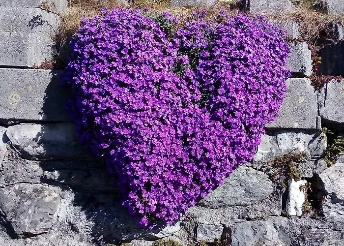 Holiday home Casa Della Nina