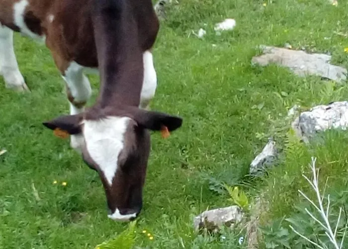 Holiday home Casa Della Nina *