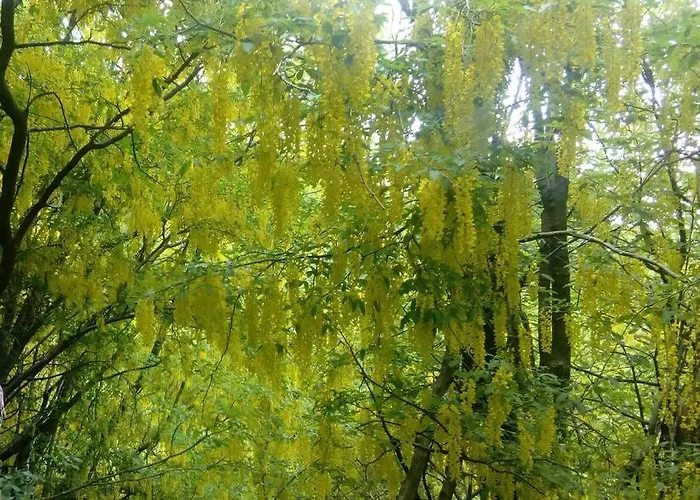 Casa Della Nina Holiday home *