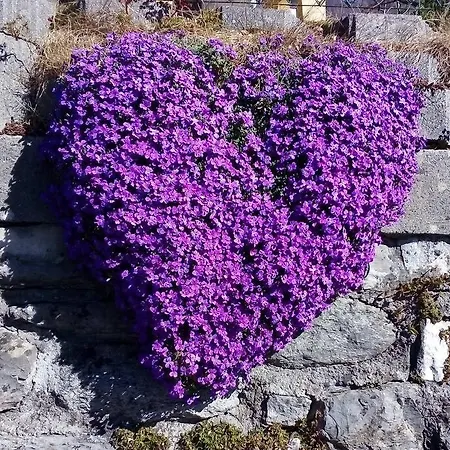 Dom wakacyjny Casa Della Nina